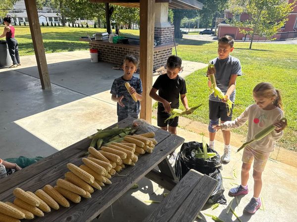 Children husking corn at a picnic table